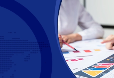 LP Information,Inc(路亿市场策略)